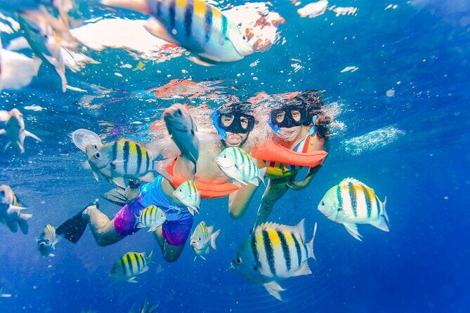 Isla Mujeres Catamaran Tour with Open Bar, Lunch and Snorkeling - Isla Mujeres town time: souvenirs, snacks, and a real walk