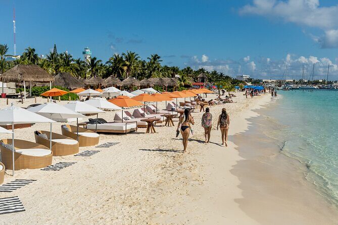 Isla Mujeres Cruise with Beach Club, Snorkel, Lunch and Open Bar - Arrecife El Meco snorkeling: what you’re likely to see