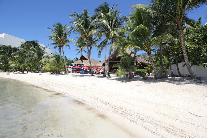 Isla Mujeres luxury catamaran with premium open bar and lunch - The beach club lunch at Zama or IXI: what VIP means in real life