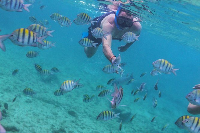 Isla Mujeres Luxury Sailing: Adults Only or Family Friendly - Adults-only vs family-friendly: what to confirm before you book