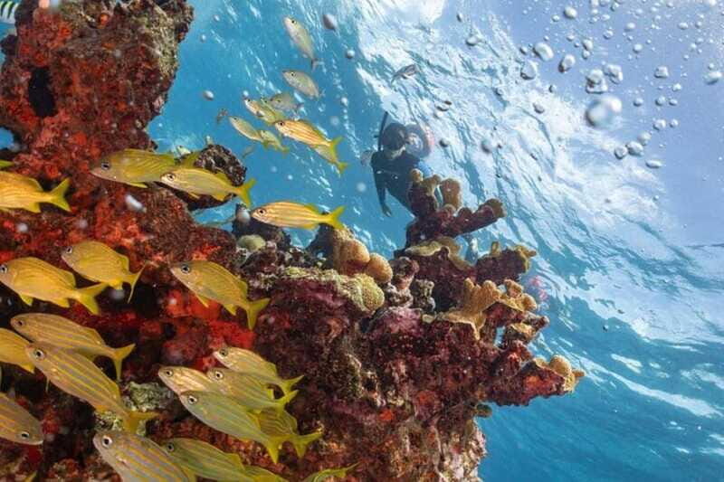 Isla Mujeres: Snorkel Tour at Musa and Manchones Reef - The included snacks: small pause, big payoff