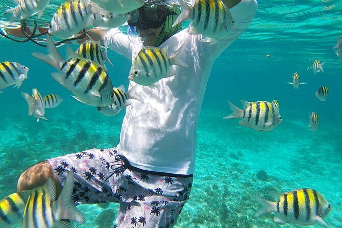 Isla Mujeres Snorkeling Adventure at the Underwater Museum - Lunch after snorkeling: included meal, limited drink options