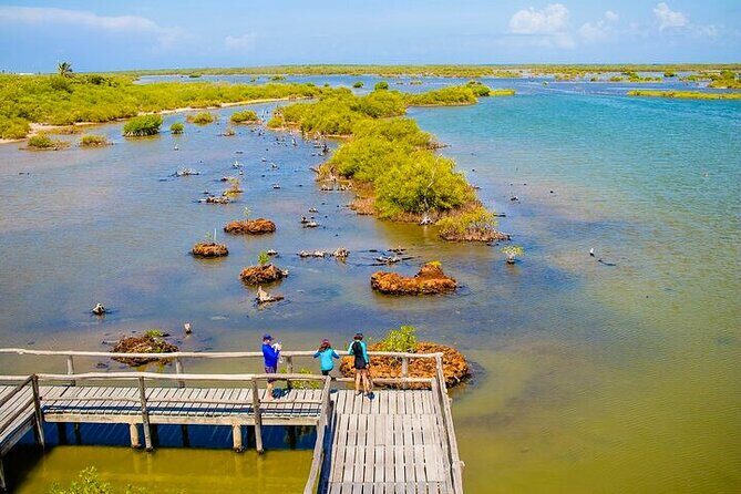 Jeep Safari All Inclusive Private Tour - Who Should Book This Jeep Safari (and Who Should Think Twice)