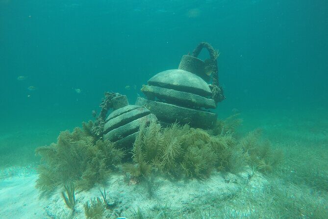 Jungle Tour & Snorkel at Punta Nizuc Reef , Underwater museum - Speed boat jungle-to-reef: what the 2 hours feels like