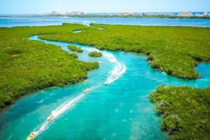 Jungle Tour with Snorkel in Cancun - Where It Starts at Aquaworld (and Why That Matters)