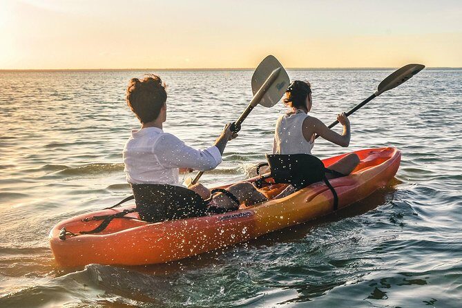 Kayak adventure through Laguna Nichupté in Cancun - Pace, Group Size, and Who This Tour Fits Best