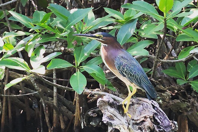 Kayak adventure through Laguna Nichupté in Cancun - What to Bring (And What to Skip)