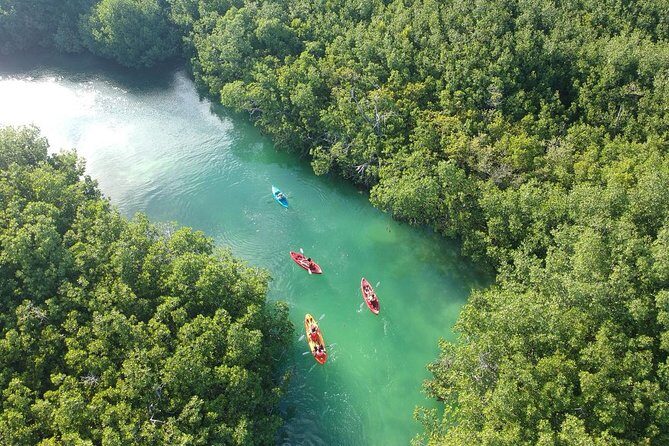 Kayak adventure through Laguna Nichupté in Cancun - What the Guided Route Feels Like on the Water