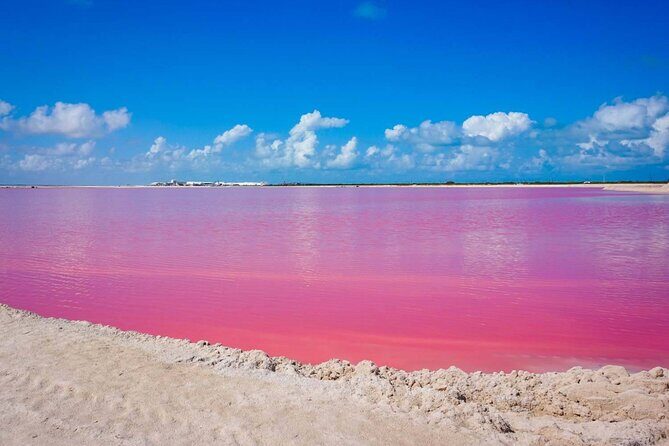 Las Coloradas, Río Lagartos and Playa Cancunito Tour from Mérida - Key highlights at a glance