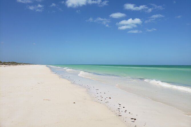 Las Coloradas, Río Lagartos and Playa Cancunito Tour from Mérida - Río Lagartos Natural Park: 2 hours on a boat with birds and crocodiles