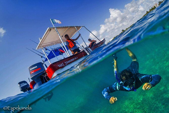 Mahahual Snorkeling Adventure: Turtle Encounter - The 90-minute plan: how the timing usually feels in real life