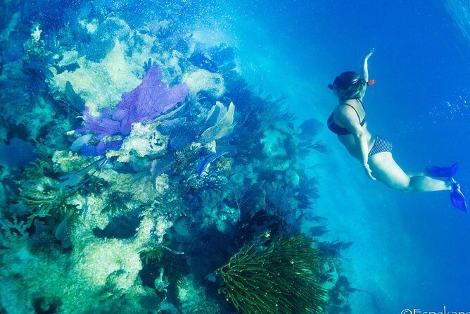 Mahahual Snorkeling Adventure: Turtle Encounter - Boat entry, gear quality, and safety: what to expect day to day