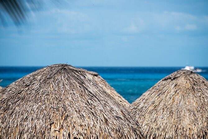 Mr. Sanchos Beach Club All-Inclusive Day Pass - What costs extra (and how to avoid surprise spending)