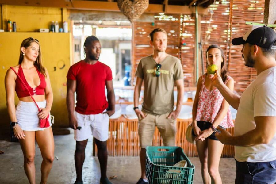 Playa del Carmen: 3-Hour Local Food Walking Tour - What to Bring and How to Dress for the 3 Hours