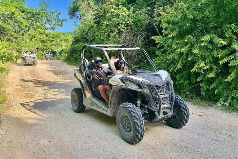 Playa Del Carmen: Cenote & Mayan Village Tour by Buggy - Getting Ready: Licenses, Safety Rules, and Your Buggy Setup