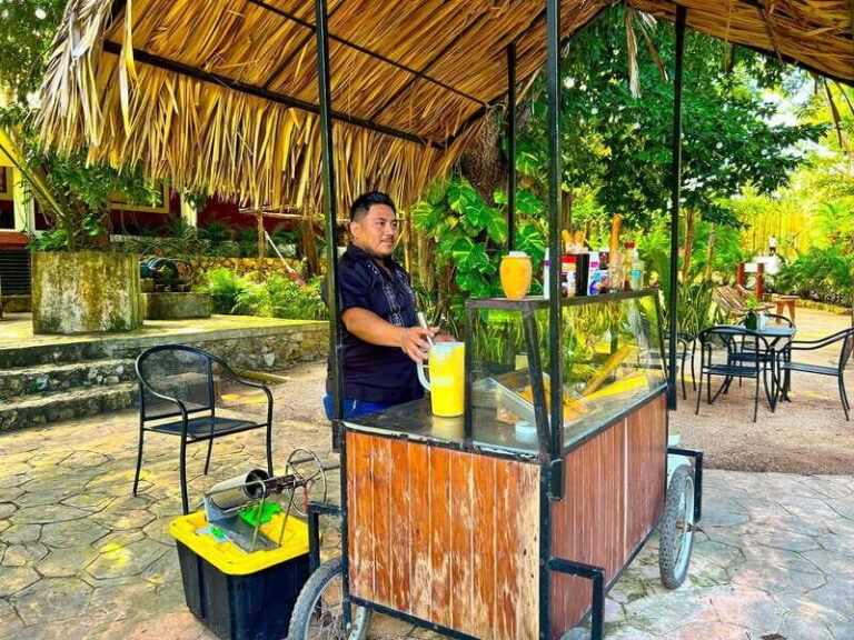 Playa del Carmen: Chichen Itza, Valladolid, Cenote & Buffet - Chichén Itzá with a guide: what you’re really paying for