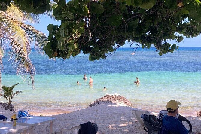 Private beach, all inclusive. - The seaweed issue: how to plan for it without ruining your day
