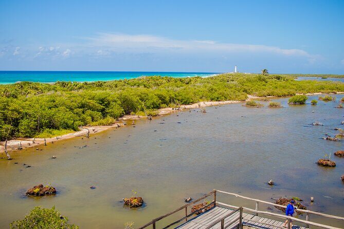 Private Buggy Tour and Punta Sur Park: All-Inclusive - Playa San Martín: your calm 15-minute coast reset