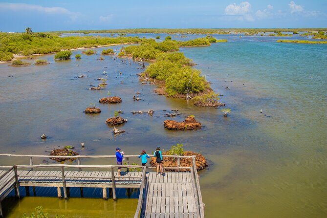 Private Buggy Tour and Punta Sur Park: All-Inclusive - Vehicles, timing, and safety: check the buggy before you roll