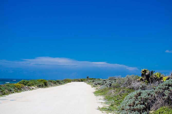 Private Buggy Tour and Punta Sur Park: All-Inclusive - Private buggy touring on Cozumel’s south coast