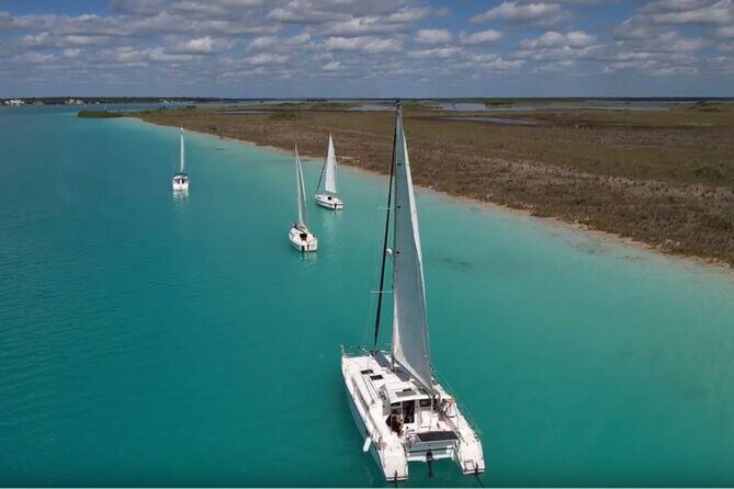 Private Catamaran Tour - Stromatolites: the ancient-rock stop that makes the day feel real
