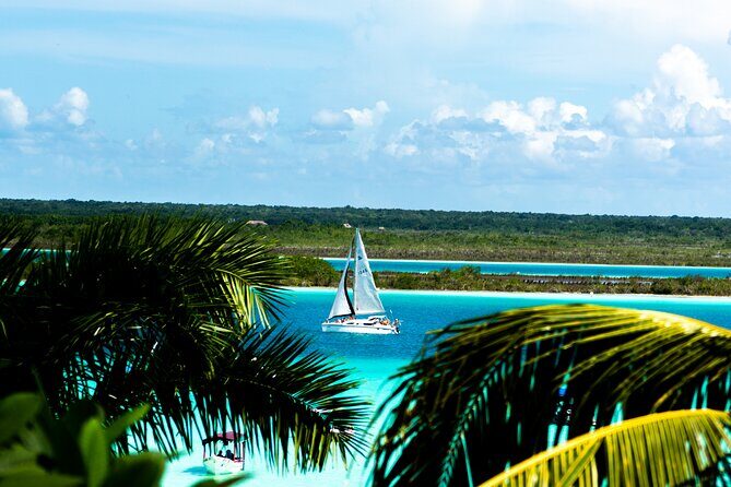 Private Catamaran Tour - Snacks, drinks, and guacamole lunch on board