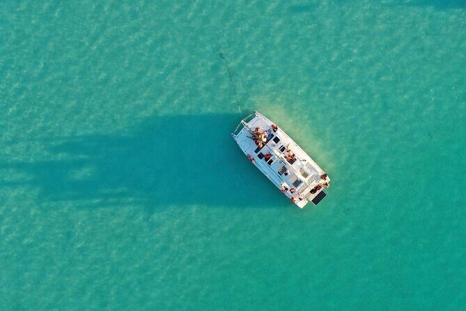 Private Catamaran Tour - Isla de los Pájaros: the calm bird symphony at the end