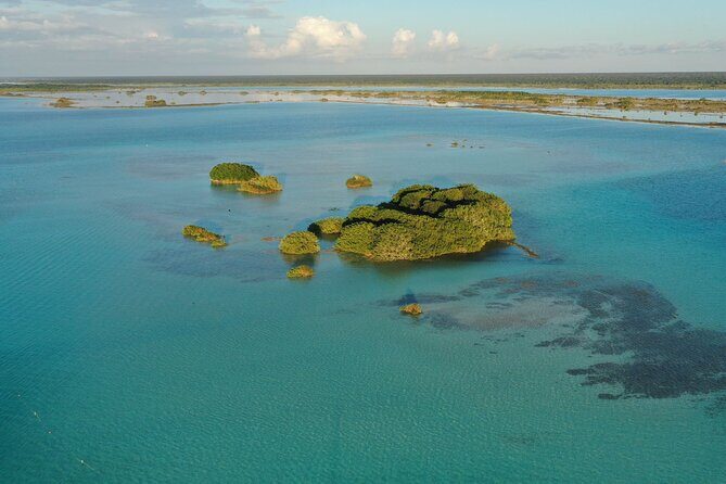 Private Catamaran Tour - Crew you’ll remember: names to look out for