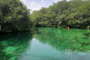 Private Cenotes tour - Cenote Nicte-ha: Underground River, Rock Formations, and Cave-Safe Pacing