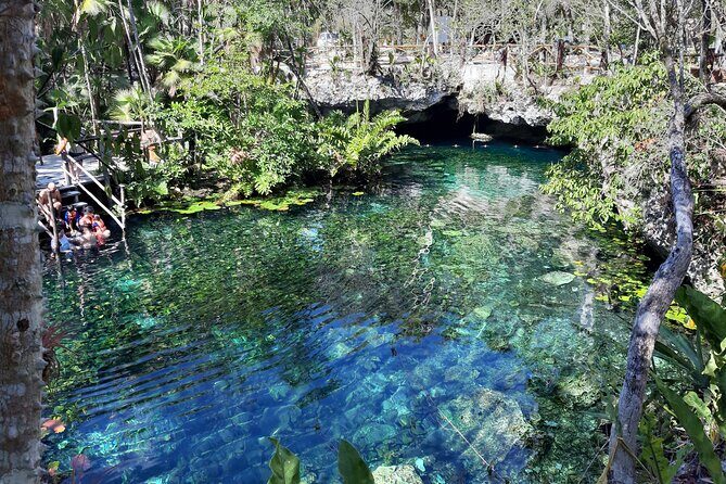 Private Cenotes tour - Who This Tour Fits Best in Playa del Carmen