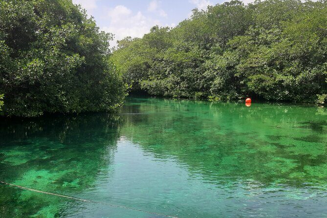 Private Cenotes tour - Cenote Nicte-ha: Underground River, Rock Formations, and Cave-Safe Pacing