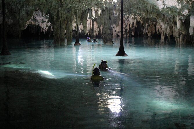 Private Dream Underground World (Off the beaten path Cenote cavernous exploring) - Price check: is $194 per person good value?