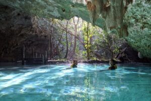 Private Guided Cenotes and Underground River Exploration - Chemuyil Open Cenote: Jungle Pool, Fish Watching, and Snorkeling Time