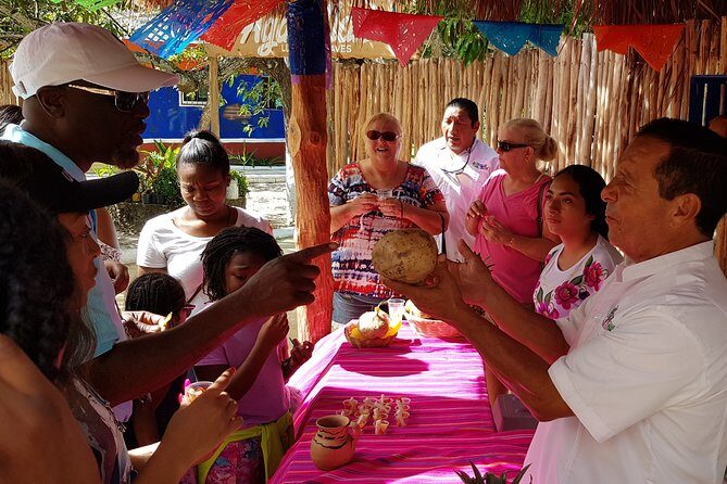 Private Island Tour at Your Leisure - Tequila tasting: included, but ask how the stop works