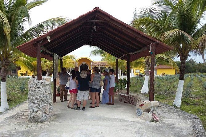 Private Jeep Excursion in Cozumel with Lunch and Snorkeling - Snorkeling Gear, Reef Time, and What to Bring