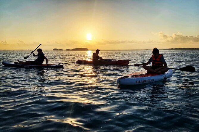 Private Paddle Tour at Sunrise - Cenote Cocalitos: keeping your energy for the best light