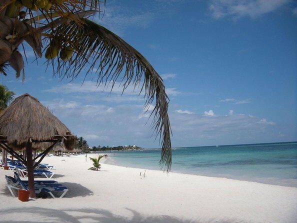 Private Snorkeling with Sea Turtles in Akumal Beach - Key Things to Know Before You Go