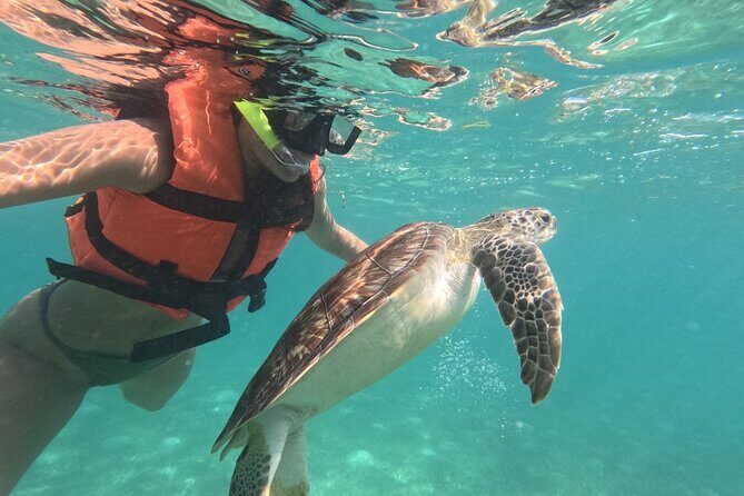 Private Snorkeling with Sea Turtles in Akumal Beach - Akumal’s Sea Turtle Swimming, Guided Instead of Crowded