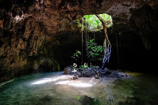 Private Tour Cenotes Sac Actun The Longest Underground River - Key reasons this private cenote day works