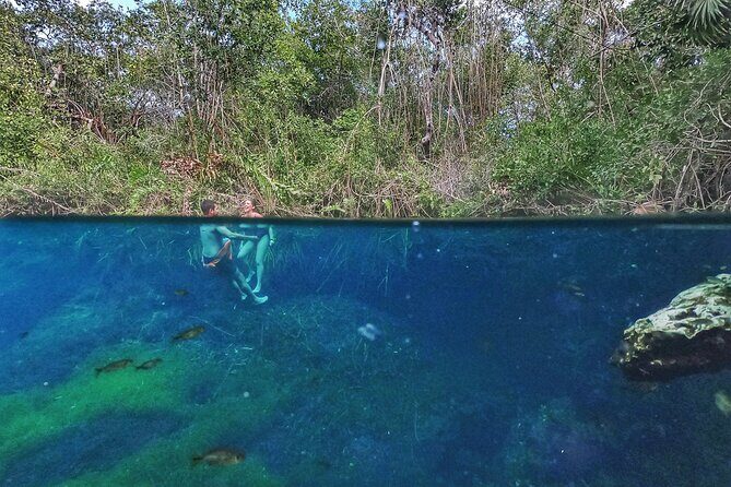 Private Tour The Best Cenotes in Tulum Riviera Maya - Price and value: why $199 can make sense here