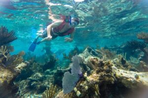 Private Tulum Ruins, Reef Snorkel & Cenote Adventure - Private Guide and Pickup: The Real Luxury in Cancun