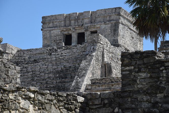 Private Tulum Ruins, Reef Snorkel & Cenote Adventure - Mayan Coral Reef Snorkeling: What You’ll Actually See