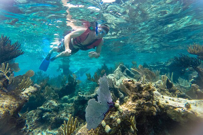 Private Tulum Ruins, Reef Snorkel & Cenote Adventure - Private Guide and Pickup: The Real Luxury in Cancun