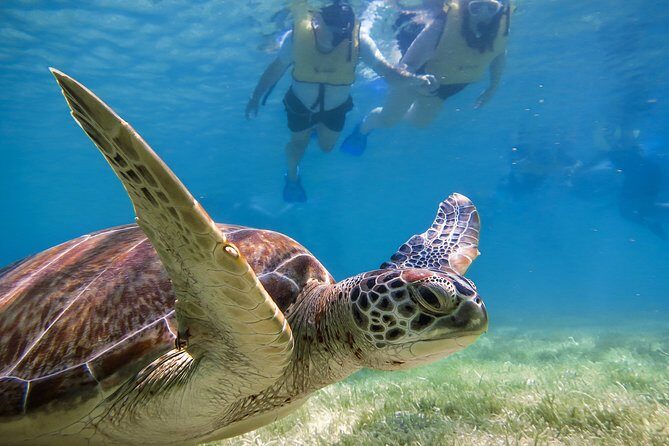 Private Tulum Ruins, Turtles in Akumal and Cenote Adventure - A Perfect Early Start: Tulum, Akumal, and a Cenote in One Day