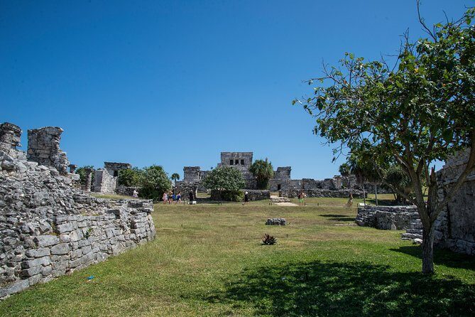 Private Tulum Ruins, Turtles in Akumal and Cenote Adventure - Who This Tour Fits Best (and Who Should Consider Alternatives)