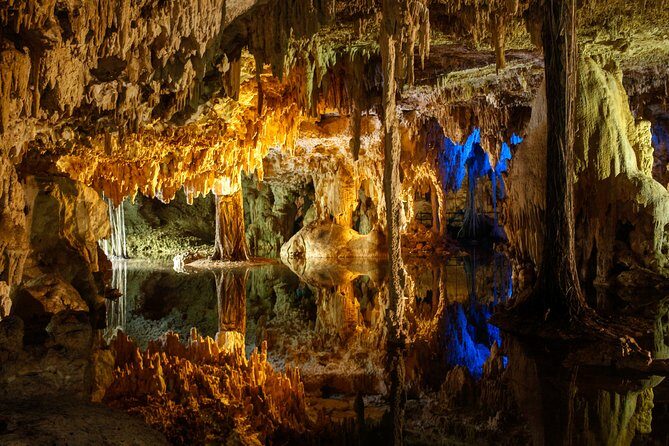 Private Turtles & Cenotes Adventure - Transportation, guide style, and the smooth flow of the day
