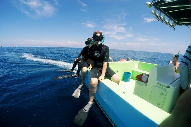 Private Whale Shark All Inclusive Experience - Private Whale Shark Day: Why This Setup Feels Worth It