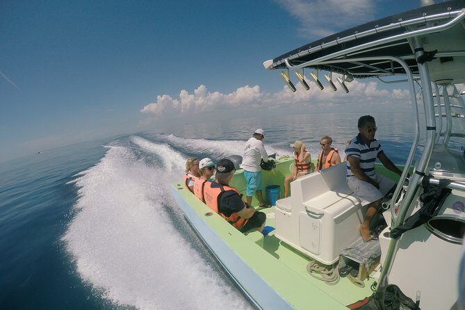Private Whale Shark All Inclusive Experience - Isla Mujeres Snorkel and the Playa Norte Picnic: The Part That Feels Like a Reward