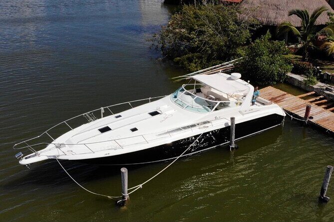 Private Yacht 46ft Sea Ray Snorkel up to 15 pax 23P2 - Getting started at Calle Sunset Marina (Zona Hotelera)