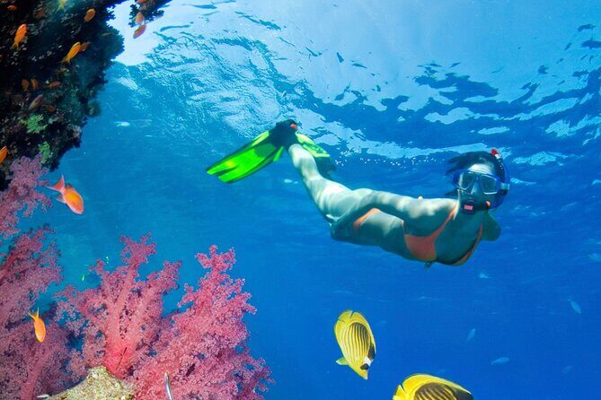 Puerto Morelos Catamaran Reef Sail and Snorkel - What You Actually Do: Sail, Anchor, Snorkel, Lunch, Return